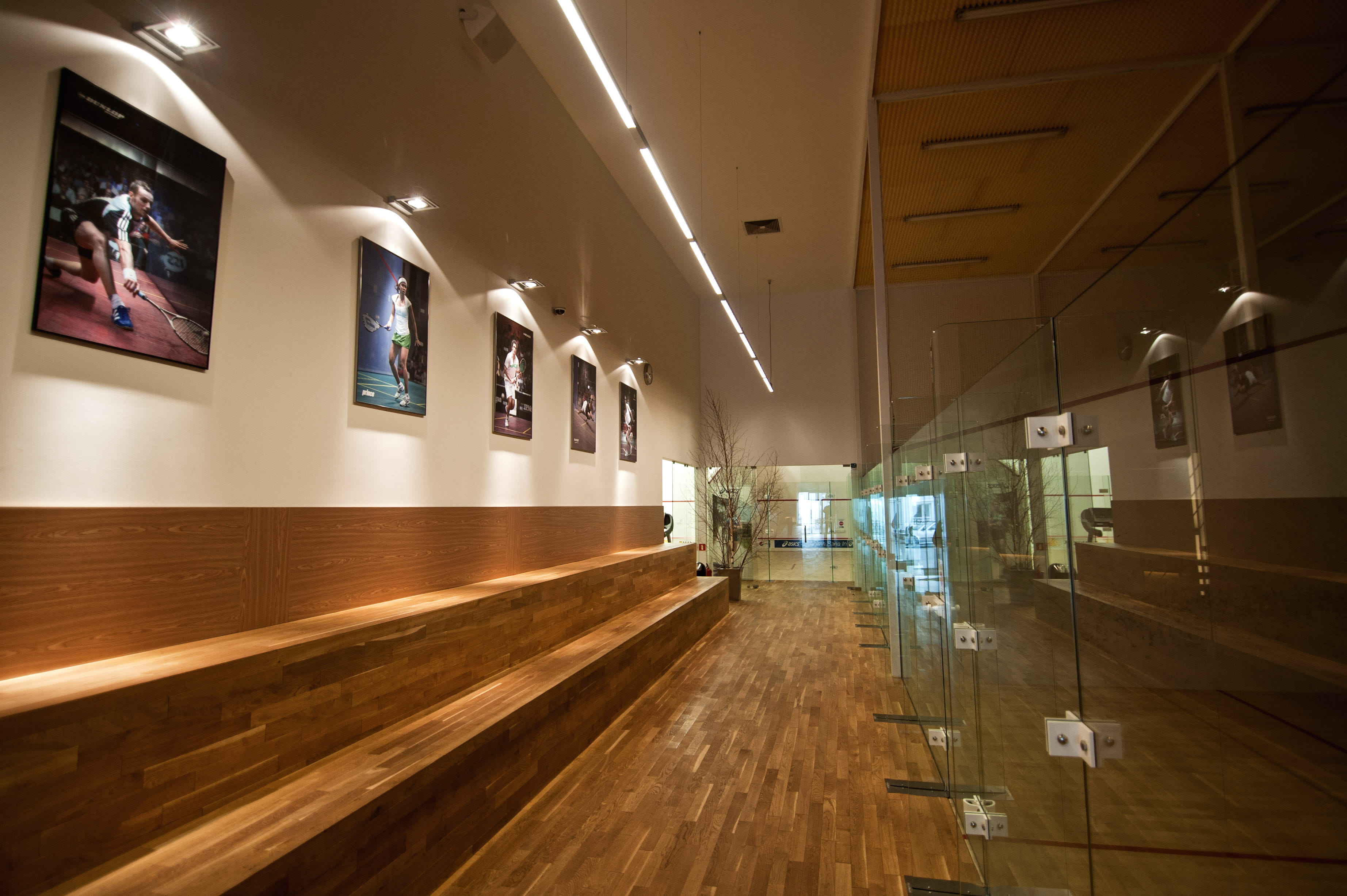 Squash4You - Galeria 3